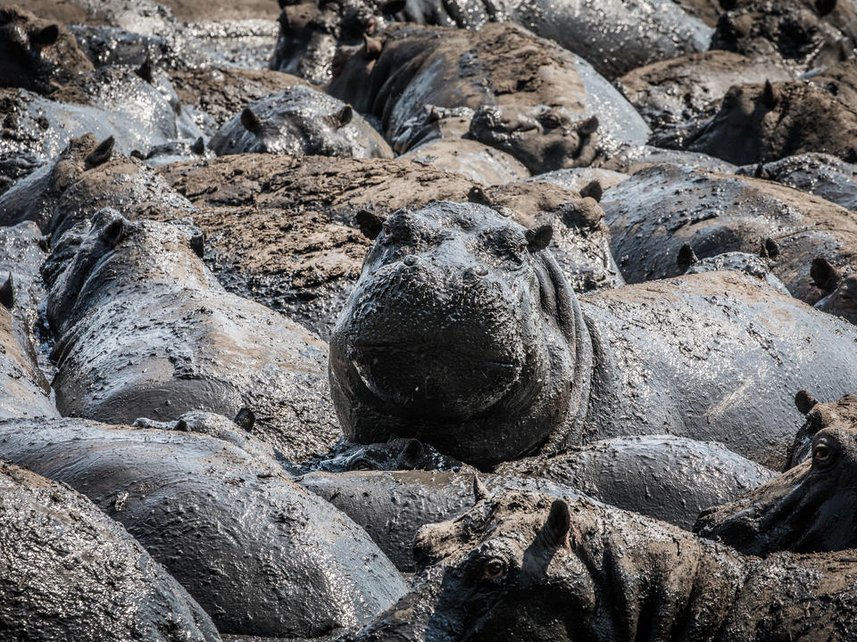 Tansania Chada Katavi Katavi National Park Diamir Erlebnisreisen Statt Traumen Selbst Erleben