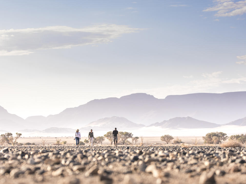Erleben Sie, wie die Wüste bei einem fachmännisch geführten Spaziergang im neuen Gebiet des Reservats lebendig wird