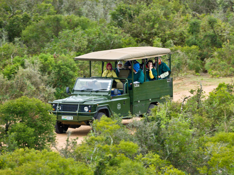 Addo Elephant Nationalpark Sudafrika Reisen Informationsportal