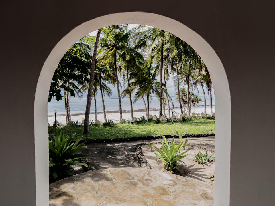 View of the coconut palm beach