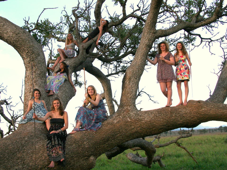 girls in the fig tree