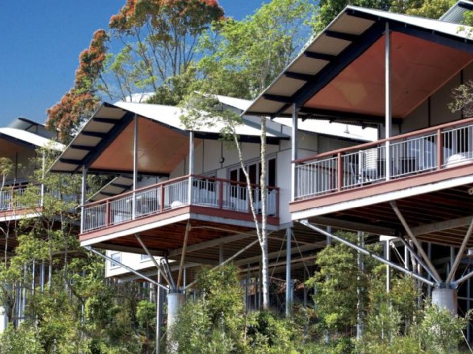 Australien O Reilly S Rainforest Retreat Lamington National Park Diamir Erlebnisreisen Statt Traumen Selbst Erleben