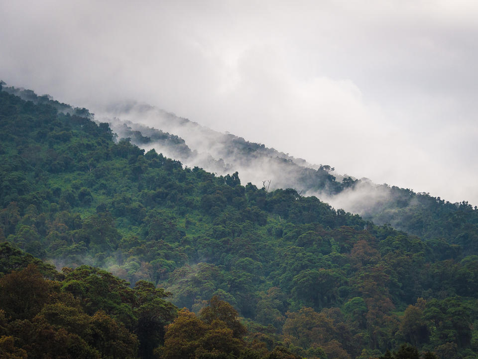 Die Vulkane im Nordwesten Ruandas sind oft in Nebel oder Wolke gehüllt.