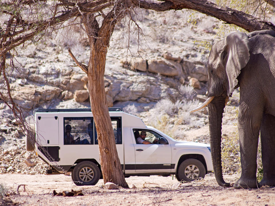 Auf Pirschfahrt zu den seltenen Wüstenelefanten