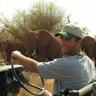 Simon Gluckman