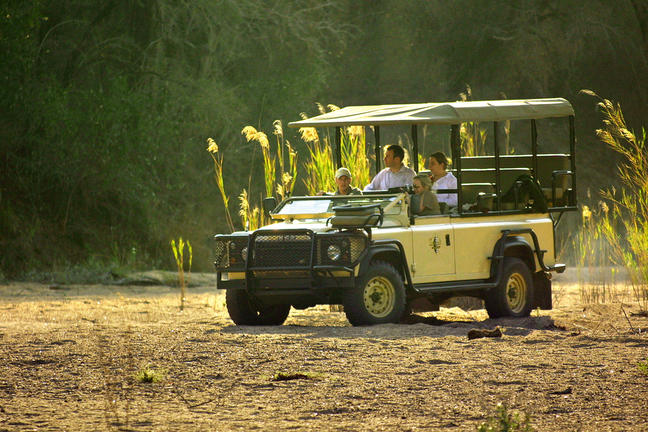 hamiltons tented safari camp