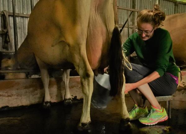 dairy farm tour costa rica