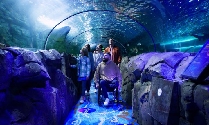 MerlinEntertainmentshttps://www.visitsealife.com