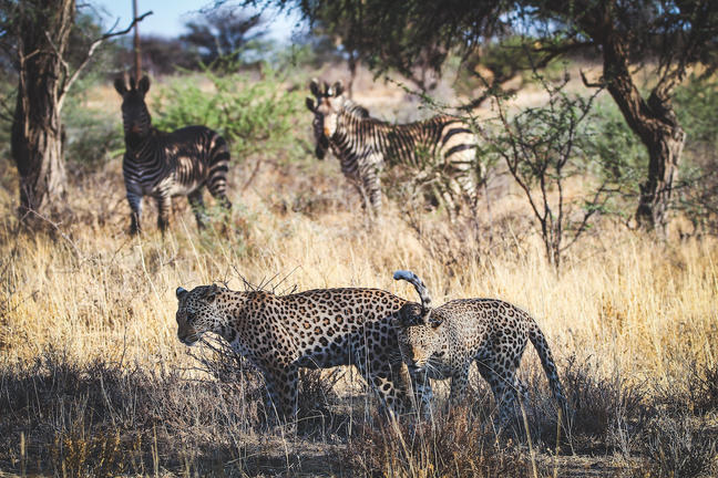Unterkunfte Beispielreise Namibia