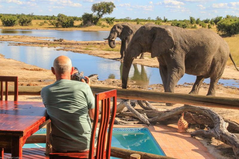 Breakfast with the elephants! 