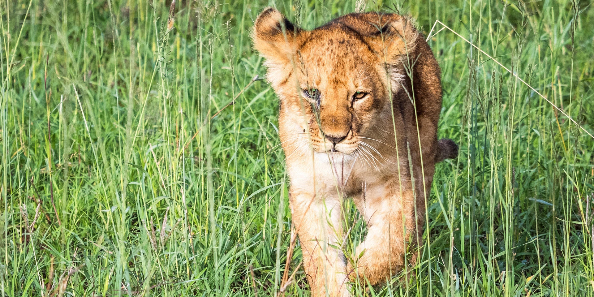 Singita Serengeti Grumeti Home