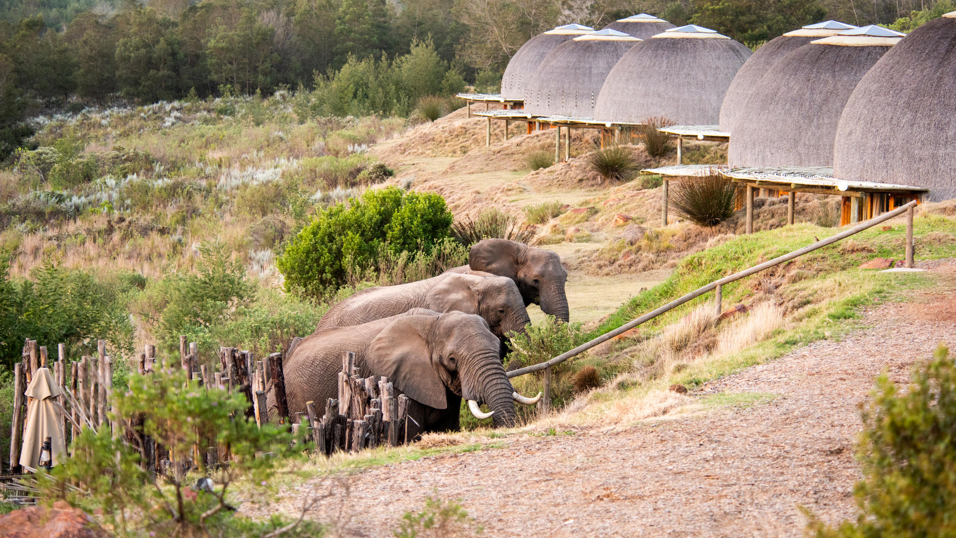Gondwana Game Reserve - Home