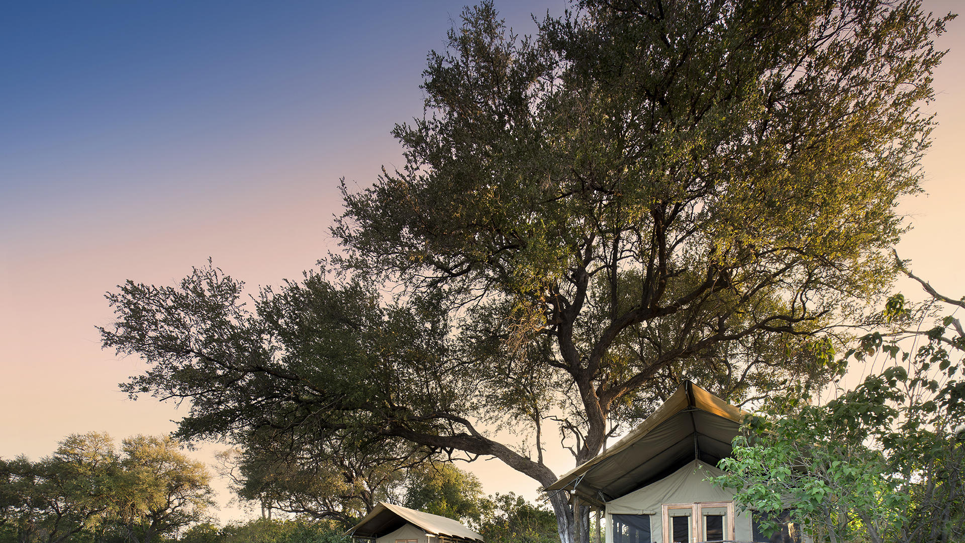 African Bush Camps Khwai Tented Camp Home African Bush Camps Khwai Tented Camp
