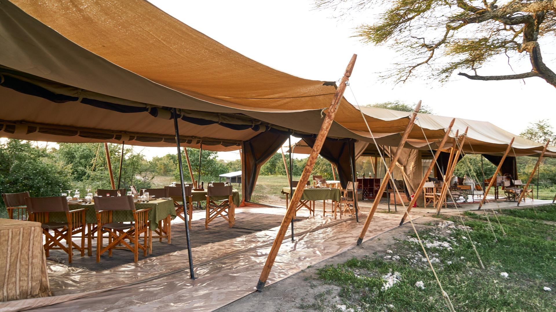 Camp Zebra - Ndutu - Home