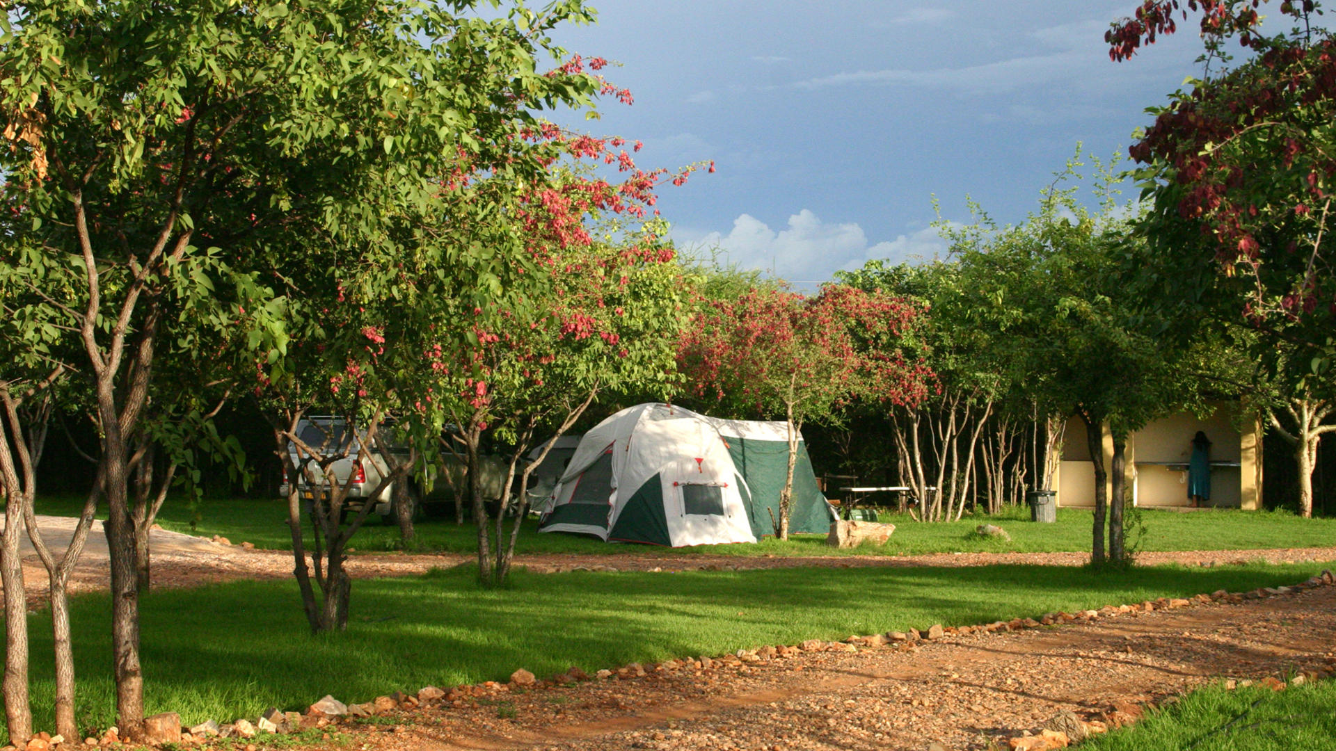 etosha safari campsite gondwana collection namibia