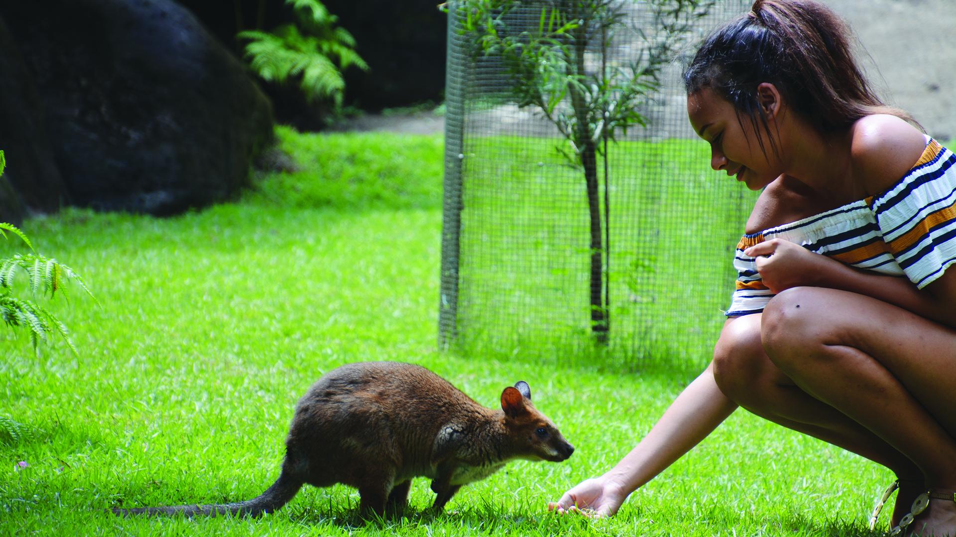 Kuranda Koala Gardens Home