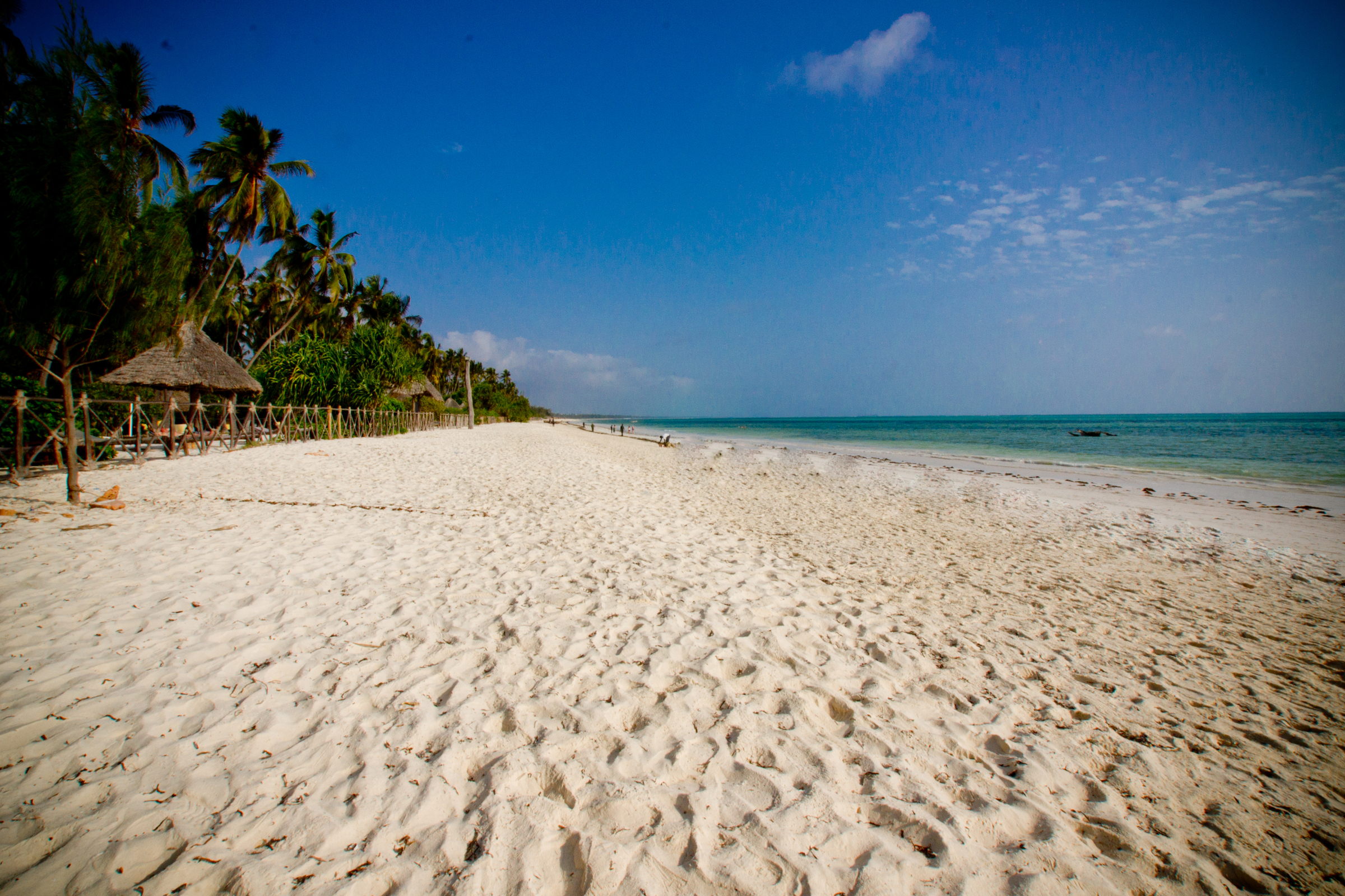 Paradise beach. Пвани Мчангани Занзибар. Пляж Пвани Занзибар. Ocean Paradise Resort Занзибар. Пляж Кивенгва Занзибар.