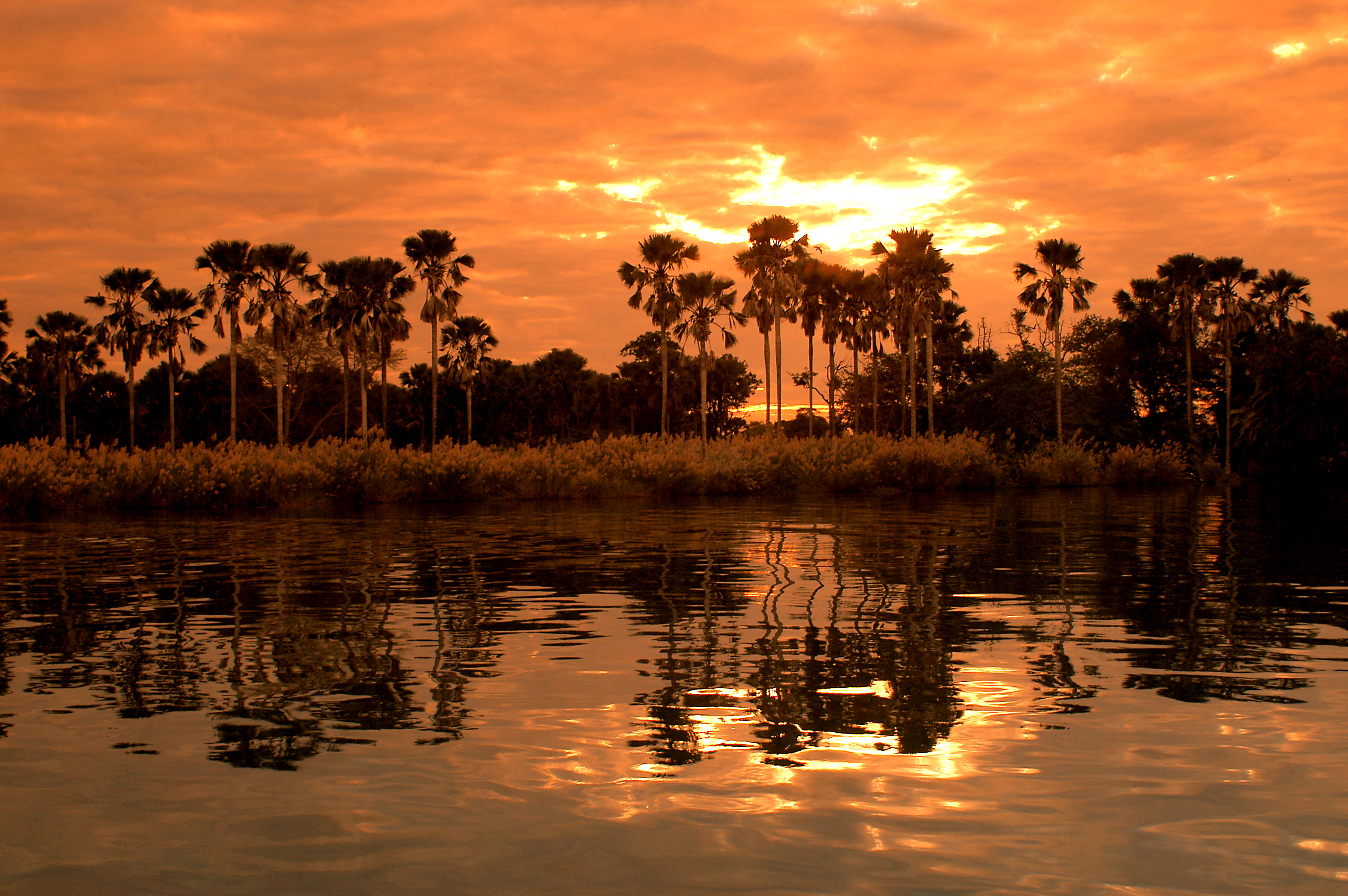 Восточно африканские озера. Национальный парк озеро Малави. Ньяса Малави. Озеро Ньяса в Африке. Малави Лилонгве.