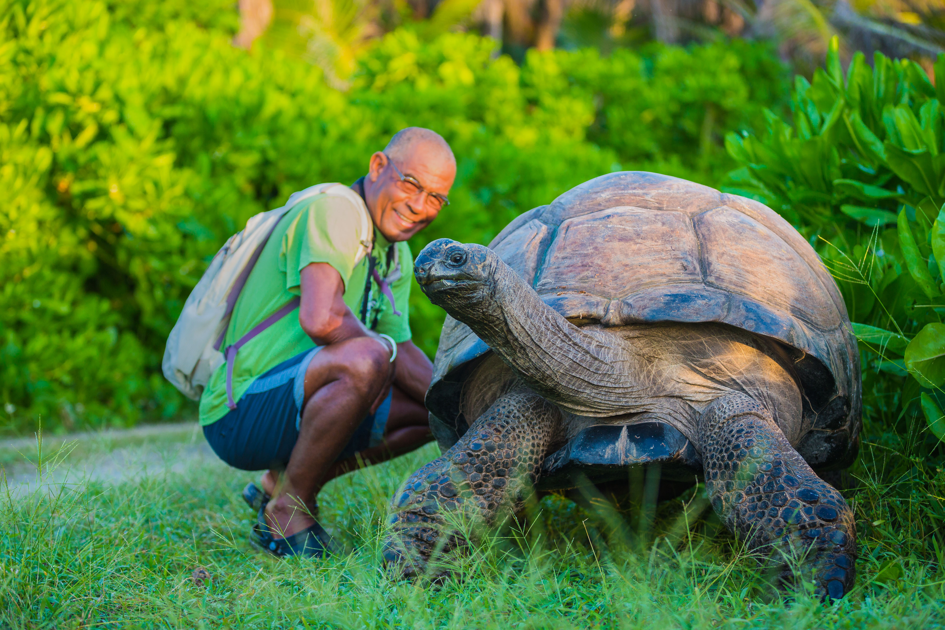 Черепахи живут 300. Джонатан Галапагосская черепаха. Гигантская черепаха Альдабра. Исполинская сейшельская черепаха.