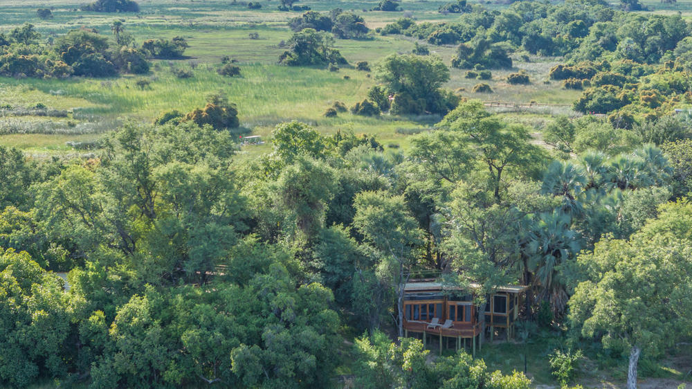 Camp Okavango