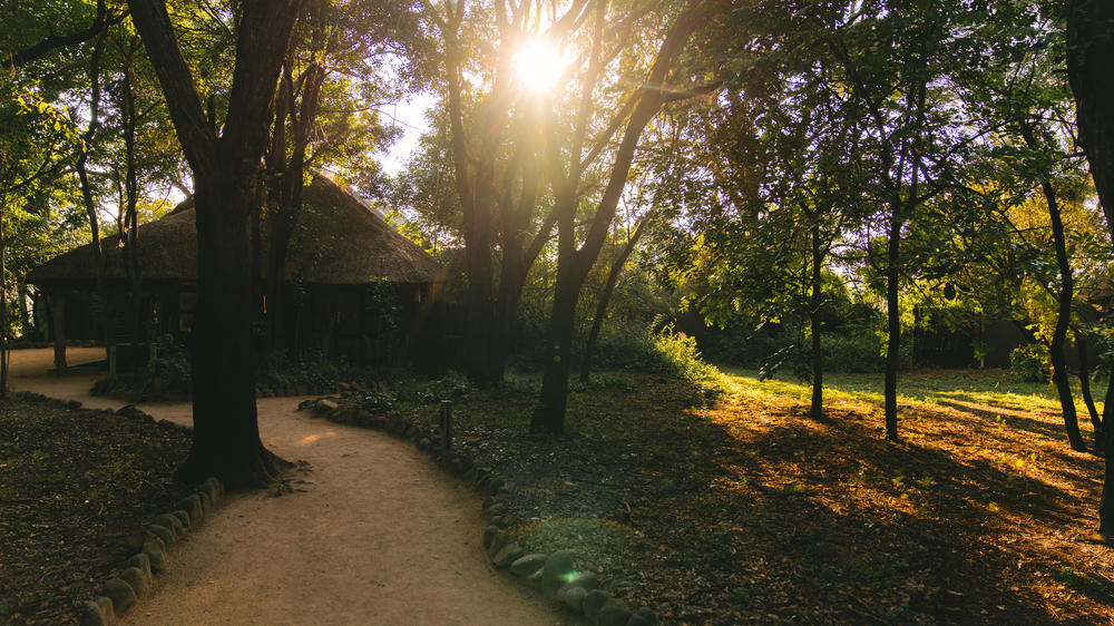 Jock Safari Lodge | Main Lodge