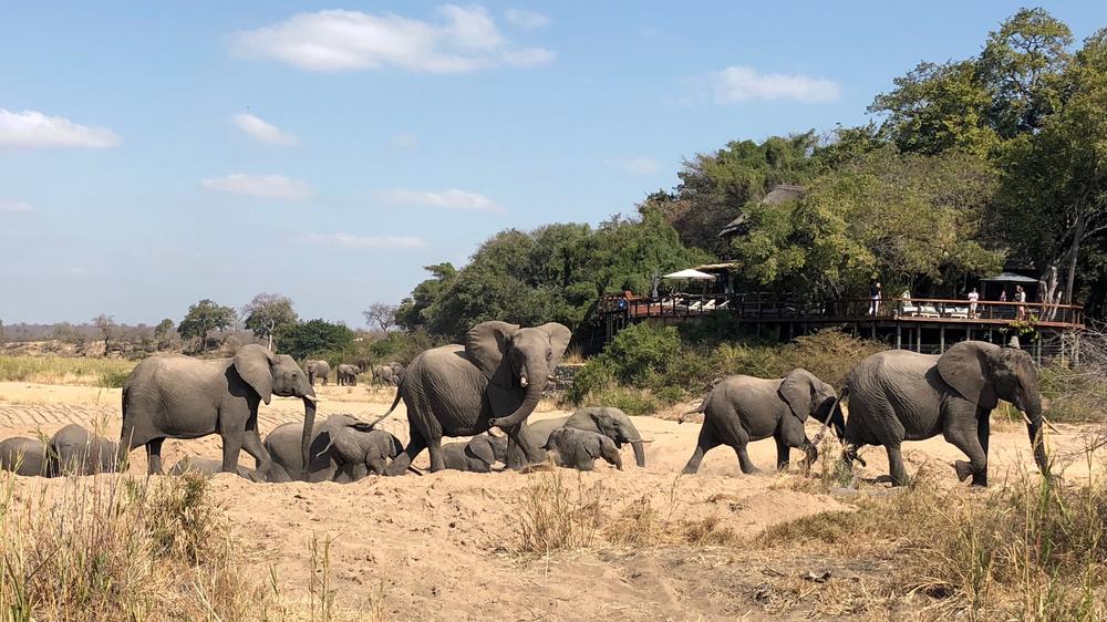 Jock Safari Lodge | Main Lodge