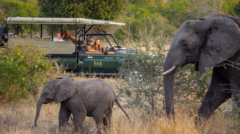 Jock Safari Lodge | Main Lodge