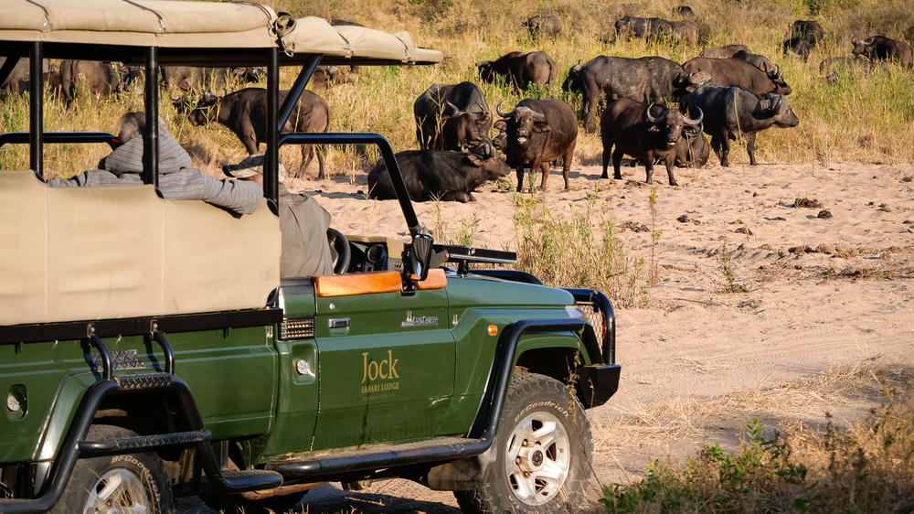 Jock Safari Lodge | Main Lodge