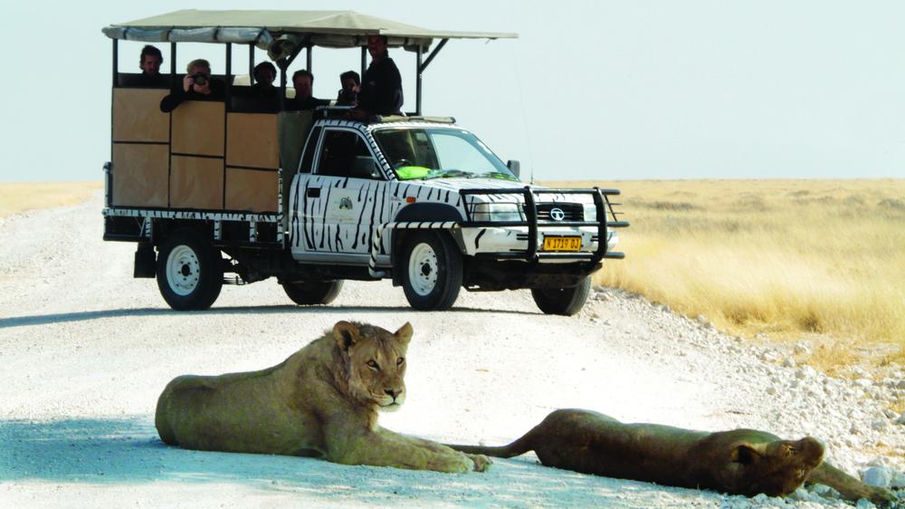 Etosha Safari Camp Gondwana Collection Namibia