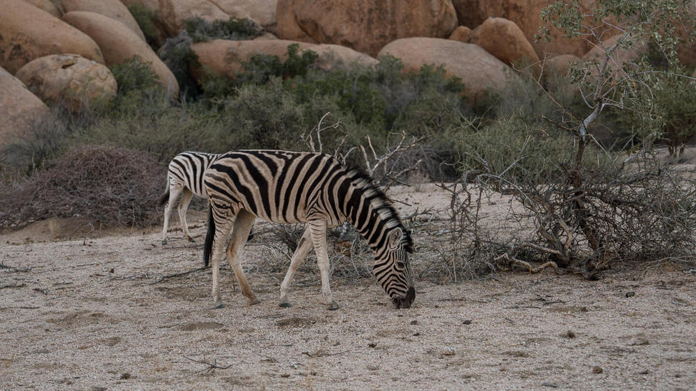 Spitzkoppe Rest Camp