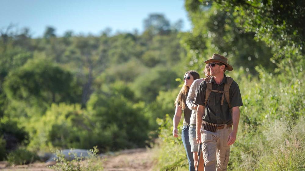 Ivory Wilderness River Rock Lodge