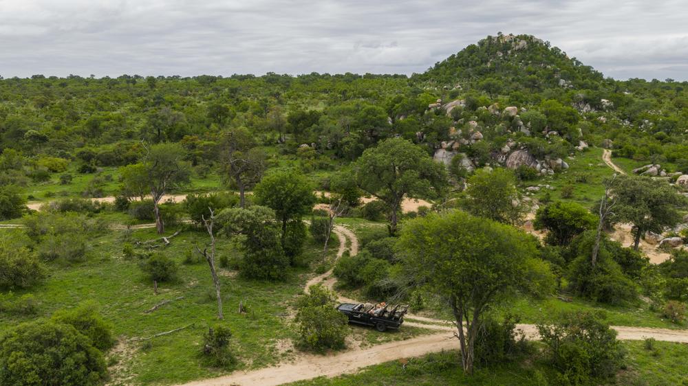 MalaMala Game Reserve
