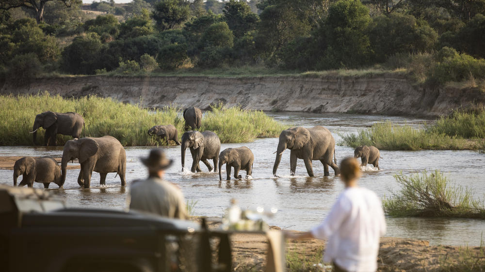 MalaMala Game Reserve
