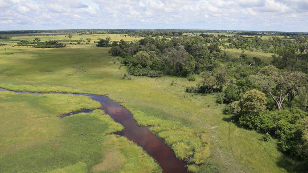 Khwai Private Reserve