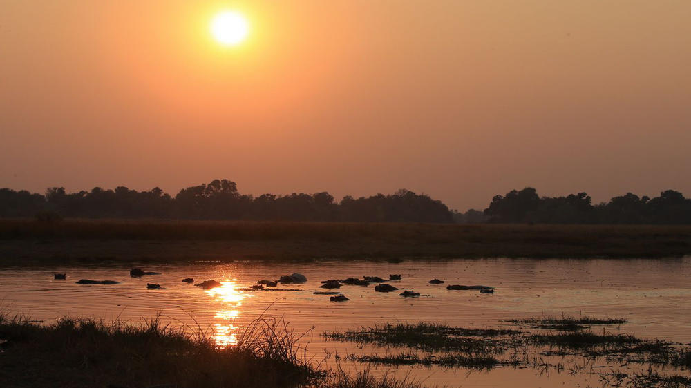 Khwai Private Reserve