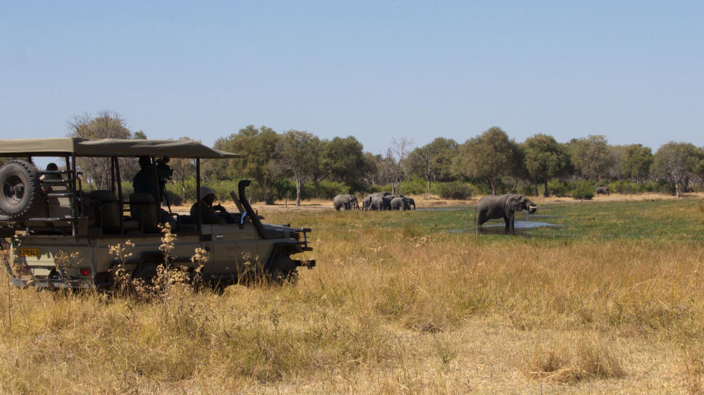 Khwai Private Reserve