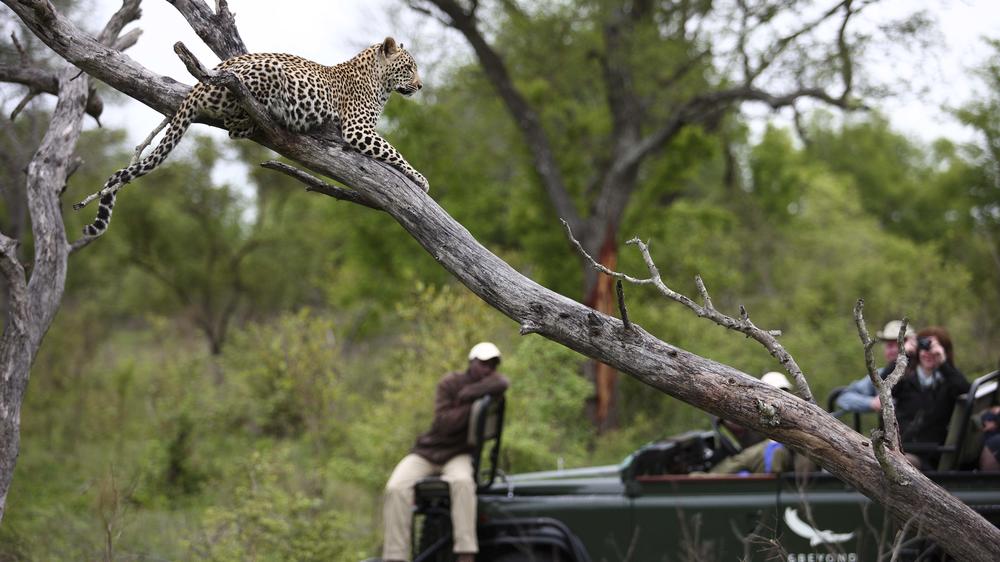 andBeyond Kirkman's Kamp
