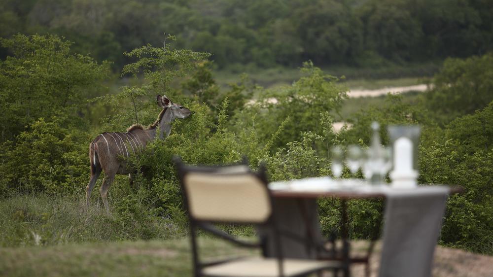 andBeyond Kirkman's Kamp