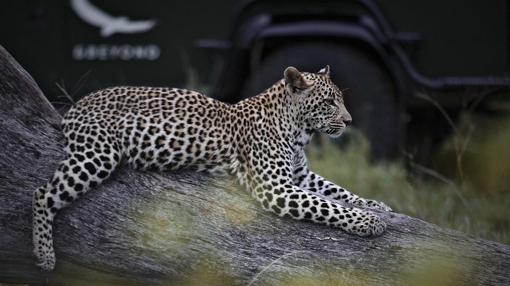 andBeyond Kirkman's Kamp