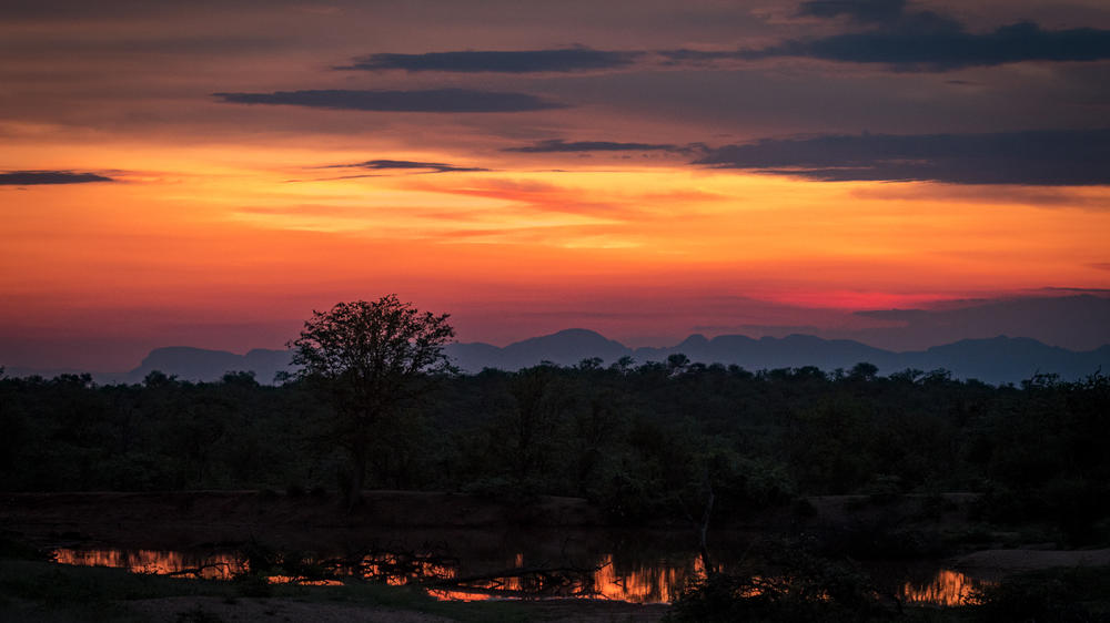 Chacma Bush Camp