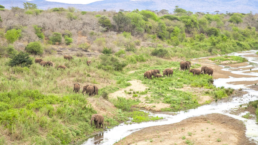 iSimangaliso Wetland Park