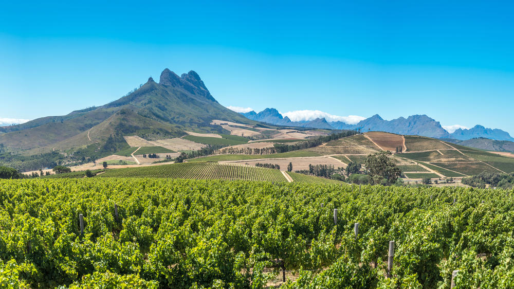 Franschhoek