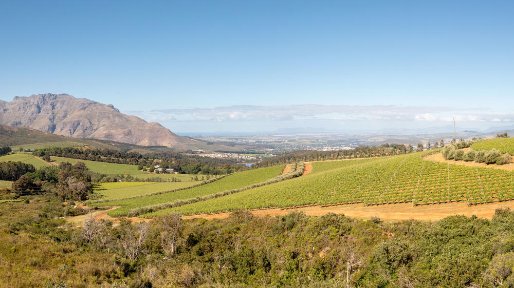 Stellenbosch