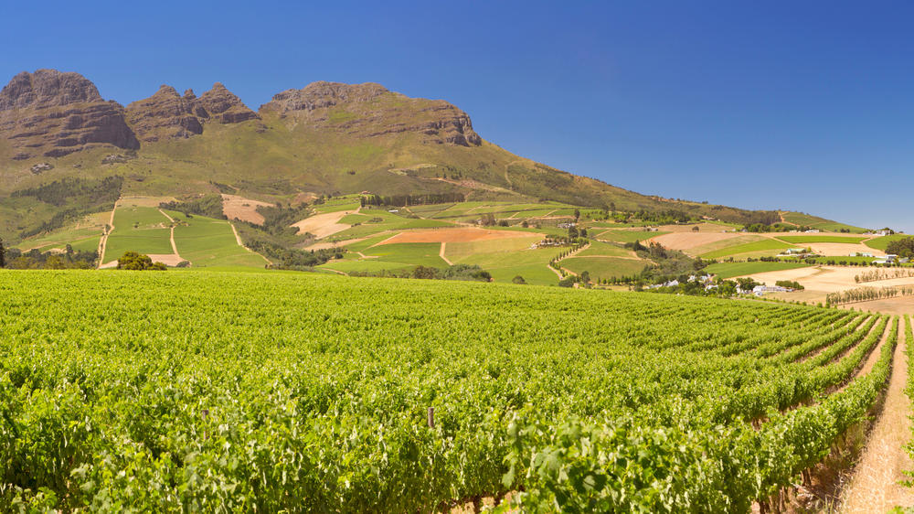 Stellenbosch