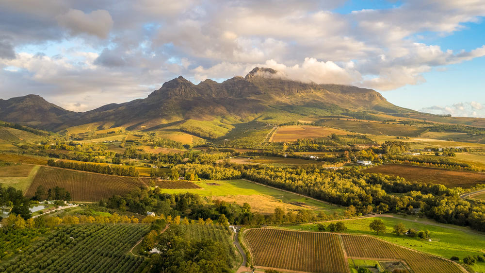 Stellenbosch