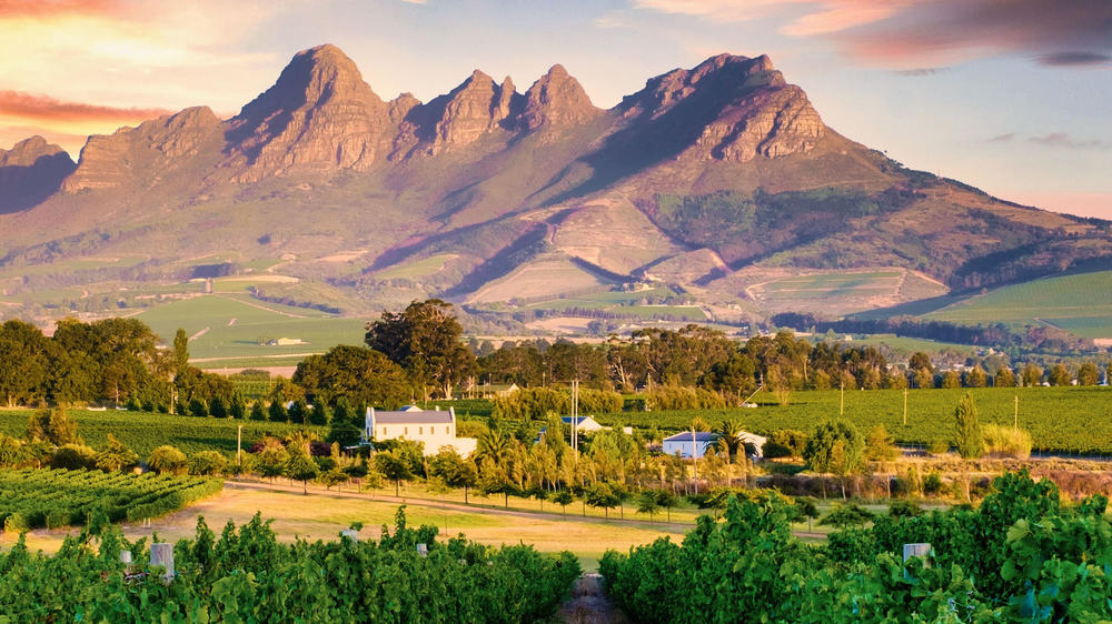 Stellenbosch