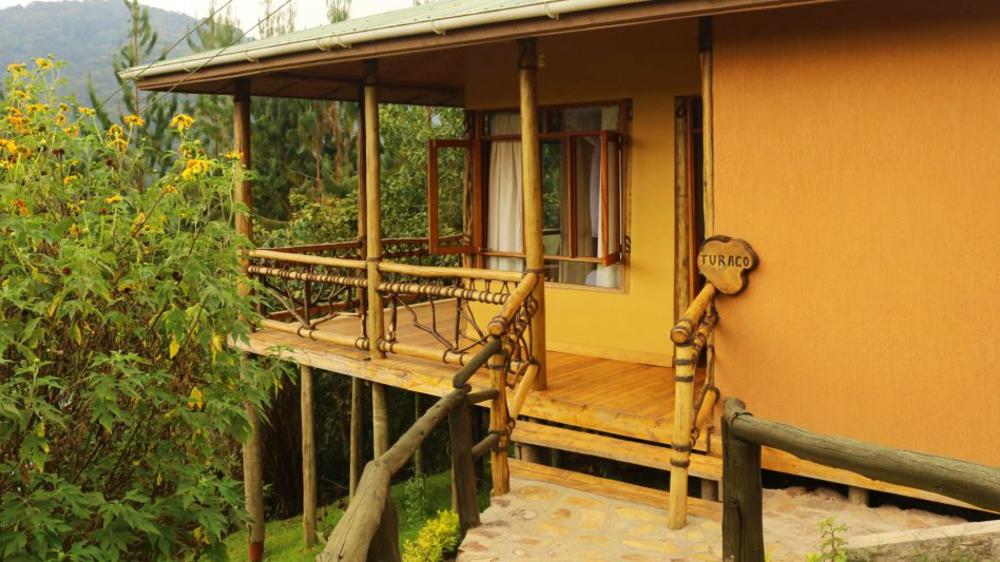 Ichumbi Gorilla Lodge