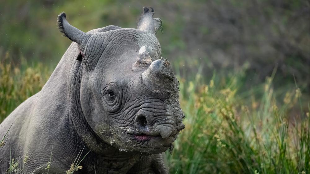 Babanango Valley Lodge
