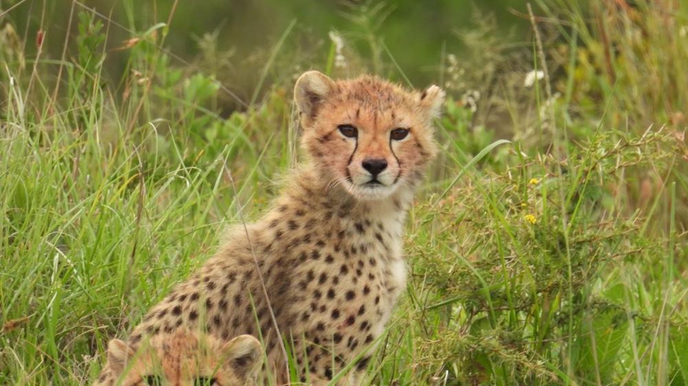 Babanango Valley Lodge