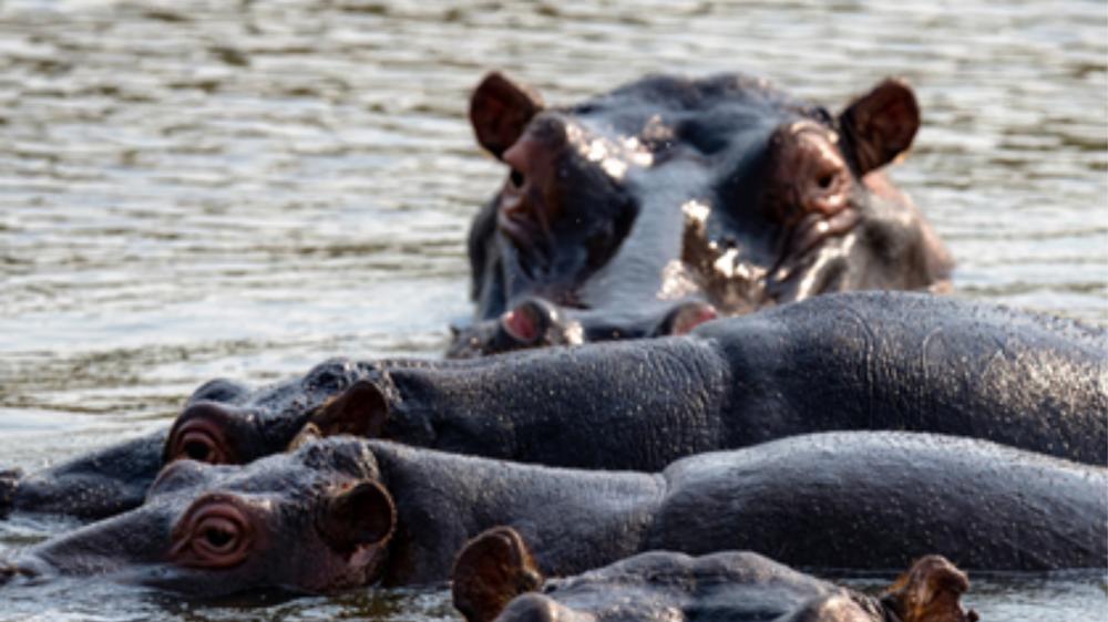 Babanango Valley Lodge